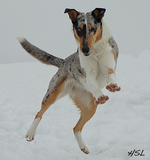 Jennie. Photo Hilde Loeken